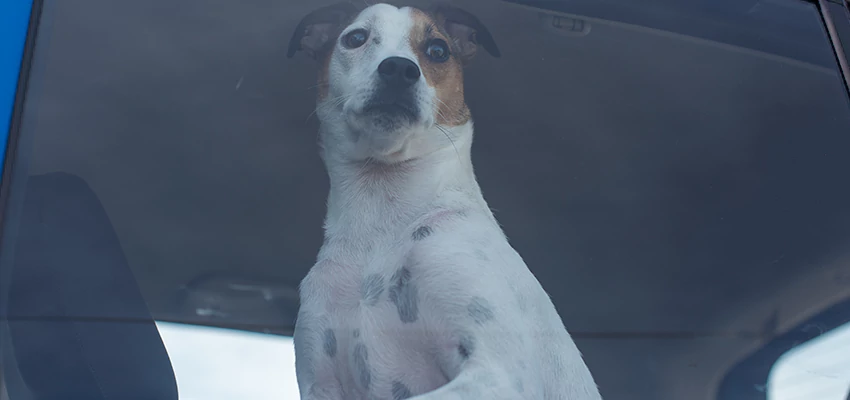 Car Lockout Solutions in Topanga, California